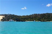 Moreton Island Overnight Stay at Tangalooma Resort from Brisbane - Accommodation Fremantle