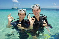 Ocean Spirit Michaelmas Cay Dive and Snorkel Cruise from Palm Cove - Accommodation in Brisbane