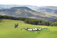 Helicopter Tour - Spicers Peak Lodge - Accommodation Gold Coast