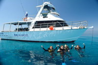 Great Barrier Reef Cruise from Townsville or Magnetic Island - QLD Tourism