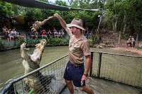 Hartley's Crocodile Adventures Day Trip from Cairns - Accommodation Rockhampton