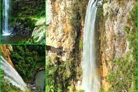 Rainforest  Waterfalls Extravaganza - Lightning Ridge Tourism