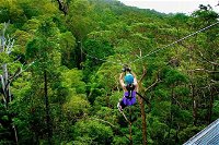 Tamborine Mountain Daily Service Treetop Challenge and Thunderbird Park - Attractions Melbourne