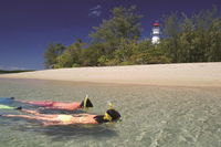 Wavedancer Low Isles Great Barrier Reef Sailing Cruise from Palm Cove - Accommodation Airlie Beach