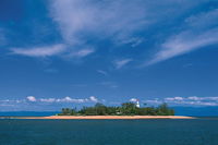 Afternoon Low Isles Snorkeling and Sailing Cruise from Port Douglas - Schoolies Week Accommodation