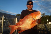 Whitsunday Islands and Great Barrier Reef Fishing Charters - Tourism Brisbane