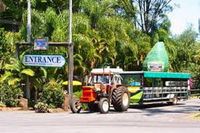 Tropical Fruit World with Wildlife Boat Cruise from Gold Coast - Townsville Tourism