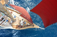 2-Day Whitsundays Sailing Adventure Alexander Stewart - Accommodation in Surfers Paradise