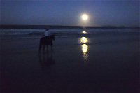 Full Moon Horse Ride at Rainbow Beach - Accommodation Kalgoorlie