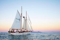 Whitsundays Sunset Sailing Cruise - Tourism Brisbane