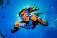 Calypso Outer Great Barrier Reef Cruise from Port Douglas - Geraldton Accommodation