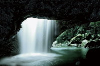 Natural Bridge Glow Worm Night Tour from Gold Coast - Accommodation Port Macquarie