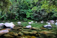 Mossman Silky Oaks to/from Cairns - Tourism Guide