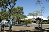 Mareeba  Innisfail to/from Cairns - Geraldton Accommodation