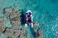 Glass-bottom boat tour with Whitehaven Beach