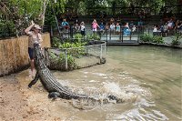 Hartley's Crocodile Adventures General Entry Ticket - Yamba Accommodation