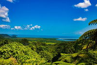 Cape Tribulation Day Tour - Accommodation in Brisbane