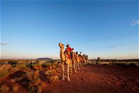 Uluru Small-Group Tour by Camel at Sunrise or Sunset - Accommodation Mooloolaba