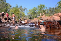 Litchfield and Jumping Crocodiles Full Day Trip from Darwin