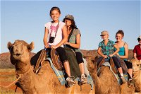 Alice Springs Camel Tour - Accommodation Tasmania