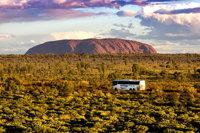 Alice Springs to Uluru Ayers Rock One Way Shuttle - Accommodation Airlie Beach