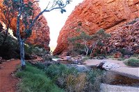Half Day MacDonnell Ranges Small Group - Private Guided Tour