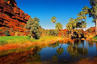 Palm Valley 4WD Day Tour - Accommodation ACT