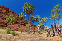 Palm Valley 4WD Tour from Alice Springs - Geraldton Accommodation