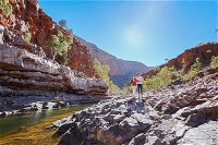 5-Day Off-Road Journey from Ayers Rock to Alice Springs - WA Accommodation