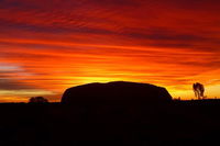 3-Day Alice Springs to Ayers Rock Camping Tour Including Kata Tjuta and Kings Canyon - QLD Tourism