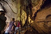 Cutta Cutta Caves Nature Park Guided Tours - Taree Accommodation