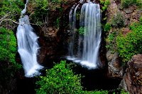 Litchfield Dreams 1 Day National Park Waterfall Swimming  Jumping Croc Cruise - Accommodation Redcliffe