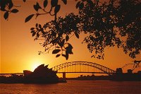 4-Day Sydney Tour City Sightseeing Sydney Harbour Cruise and the Blue Mountains - Wagga Wagga Accommodation