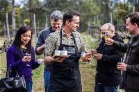 Day Trip with Chef-Led Hunter Valley Gourmet Food and Wine from Sydney - Accommodation Cooktown
