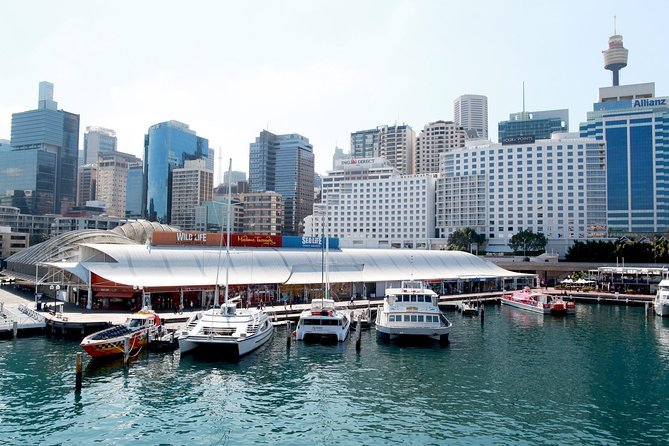 Sydney Attraction Pass Darling Harbour Experience Ticket