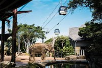 Sydney Taronga Zoo General Entry Ticket and Wild Australia Experience - Foster Accommodation