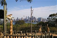 Sydney Taronga Zoo's Australian Animals Tour - eAccommodation