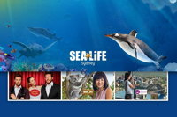 Sydney Attractions Pass SEA LIFE Aquarium Sydney Tower Eye WILD LIFE Zoo and Madame Tussauds - Accommodation BNB
