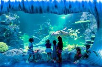SEA LIFE Sydney Aquarium Entrance Ticket - Tourism TAS
