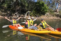 Paddle in Paradise - 4 hours Double Kayak Hire - Accommodation Coffs Harbour