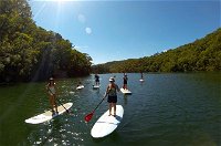 Basin Stand Up Paddle Boarding SUP Safari - Tourism Brisbane