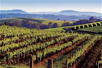 Private Day Trip to Hunter Valley from Sydney with Pickup - Tourism Caloundra