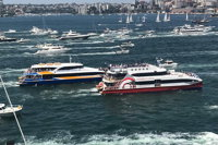 Australia Day Sydney Harbour Cruise - eAccommodation