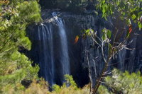 Byron Bay Hinterland Tour Including Rainforest Walk to Minyon Falls - QLD Tourism