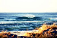 7-Day Byron Bay Evans Head and Moonee Beach Surf Safari from Brisbane Gold Coast or Byron Bay - Accommodation Airlie Beach