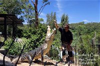 Private Shoalhaven Zoo Experience from Sydney - Kingaroy Accommodation