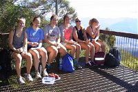 Mount Warning Day Trip from Byron Bay Including BBQ Lunch - Palm Beach Accommodation