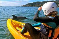 Byron Bay Combo Hinterland Tour Including Minyon Falls and Kayaking with Dolphins - Tourism TAS