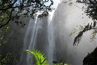 Minyon Falls Rainforest Walk - Carnarvon Accommodation