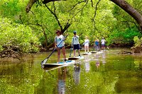 Byron Stand Up Paddle Nature Tour - Carnarvon Accommodation